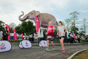 BIB: 
                            <button type="button" onclick="openModal(26529037)" class="btn btn-primary btn-sm float-right btn-popup" data-toggle="modal" data-target=".modal-high-quality">
                        <i class="fas fa-shopping-cart"></i> Add to Cart
                    </button>
                                            <button type="button" onclick="isThisMe(26529037, true)" class="btn btn-success btn-sm float-right btn-popup btn-isme hidden" data-toggle="tooltip" data-placement="bottom" title="นี่คือรูปของคุณใช่ไหม คลิกที่นี่เพื่อเอาเข้าอัลบั้ม">
                        <i class="fas fa-plus"></i> Add to album
                    </button>
                    <button type="button" onclick="isThisMe(26529037, false)" class="btn btn-warning btn-sm float-right btn-popup btn-isnotme hidden">
                        <i class="fas fa-ban"></i> Remove from album
                    </button>